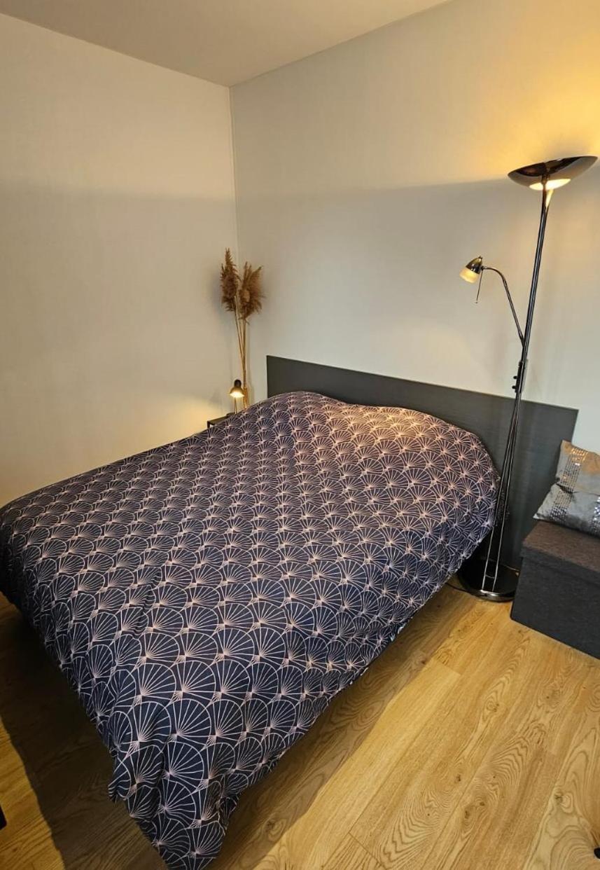 Studio Les Deux Grenouilles 5Mn De Colmar Herrlisheim-près-Colmar Exterior foto